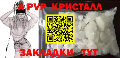 стаф Шебекино