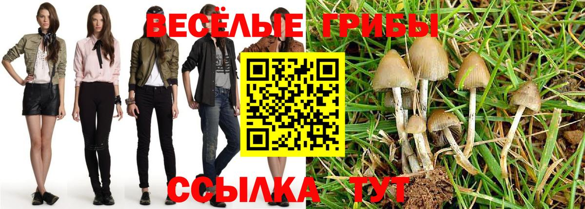Галлюциногенные грибы прущие грибы  Вход с VPN  Борзя  Псилоцибиновые грибы MAGIC MUSHROOMS 